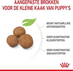 Royal Canin Maxi Puppy 4 KG -Pet Care Verkoop 1200x1159 13