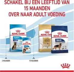 Royal Canin Maxi Puppy 4 KG -Pet Care Verkoop 1200x1159 18