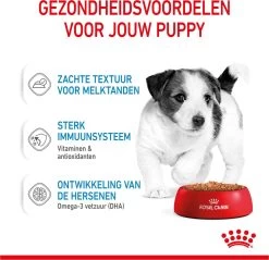 Royal Canin Shn Mini Puppy Pouch - Hondennatvoer - 12 X 85 G -Pet Care Verkoop 1200x1159 20