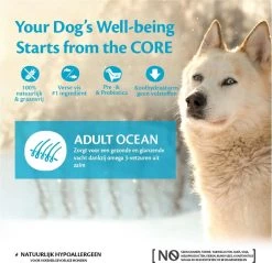 Wellness Core Grain Free Dog Ocean Zalm&Tonijn - Hondenvoer - 10 Kg -Pet Care Verkoop 1200x1160 2