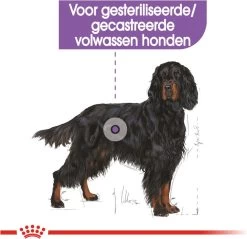 Royal Canin Sterilised Maxi - Hondenvoer - 12 Kg 18 Royal Canin Sterilised Maxi - Hondenvoer - 12 Kg -Pet Care Verkoop 1200x1160 4