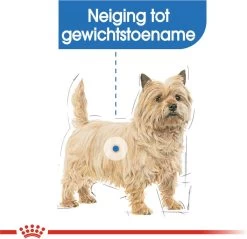 Royal Canin Mini Light 8 KG -Pet Care Verkoop 1200x1161 10