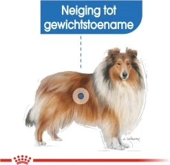 Royal Canin Light Weight Care Maxi - Hondenvoer - 12 Kg -Pet Care Verkoop 1200x1161 8