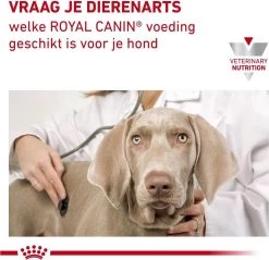 Royal Canin Urinary S/O - Hondenvoer - 7,5 Kg -Pet Care Verkoop 1200x1161 9
