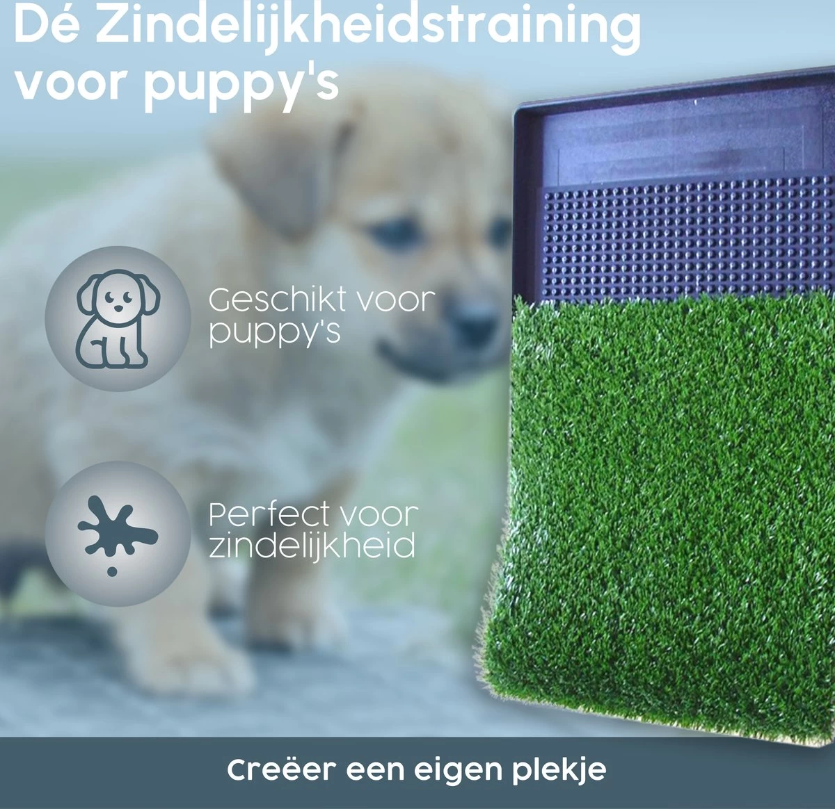 Merkloos Gtrise Hondentoilet Met 2 Matten - Out/Indoor - Zindelijkheidstraining Ebook - Dieren Wc 4 Merkloos Gtrise Hondentoilet Met 2 Matten - Out/Indoor - Zindelijkheidstraining Ebook - Dieren Wc - Afbeelding 4