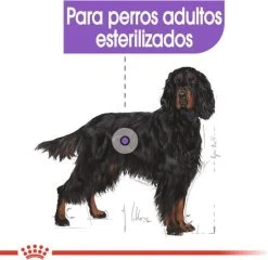 Royal Canin Sterilised Maxi - Hondenvoer - 12 Kg 15 Royal Canin Sterilised Maxi - Hondenvoer - 12 Kg -Pet Care Verkoop 1200x1164 8