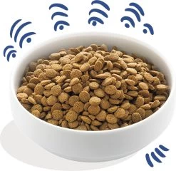 Edgard & Cooper Verse Noorse Zalm Adult - Hondenvoer - 7kg -Pet Care Verkoop 1200x1166 8