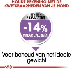 Royal Canin Mini Sterilised 8 KG -Pet Care Verkoop 1200x1168 5