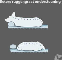 PETKIT® Deep Sleep Bed - Hondenmand - Kattenmand - Memory Foam - Orthopedisch - Maat M 11 PETKIT® Deep Sleep Bed - Hondenmand - Kattenmand - Memory Foam - Orthopedisch - Maat M -Pet Care Verkoop 1200x1168 7