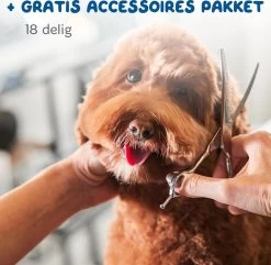 Pawwy Dieren Tondeuse Set Draadloos Voor Honden En Katten – Voor Dikke Vacht - Hondentondeuse – Hondentrimmer - Scheerapparaat - Goud -Pet Care Verkoop 1200x1170