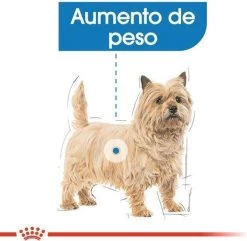 Royal Canin Mini Light 8 KG -Pet Care Verkoop 1200x1172 6