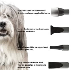 Forgoods Professionele Hondenfohn - Waterblazer Voor Honden - Hondenfohn Met 4 Opzetstukken - 2800W Verstelbaar Vermogen - Roze -Pet Care Verkoop 1200x1175 2