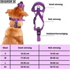 Sharon-B Muilkorf Turquoise Maat S - Fleece - Reflecterend - Kleine Hond -Pet Care Verkoop 1200x1179 1