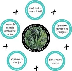 Greenfields Vacht Verzorging Set Voor Honden Shampoo, Conditioner & Droogshampoo -Pet Care Verkoop 1200x1182 1