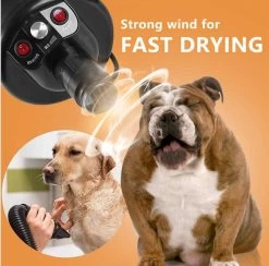 Merkloos Edward&DeVries Professionele Hondenföhn Met 4 Opzetstukken – Waterblazer Voor Honden – Stil Design – Krachtig + Extra Filter - Zwart -Pet Care Verkoop 1200x1186 7