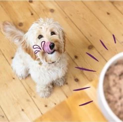 Merkloos Edgard & Cooper Hondenvoer Multipack Kip - Wild - Lam 6 X 100 Gr -Pet Care Verkoop 1200x1190 17