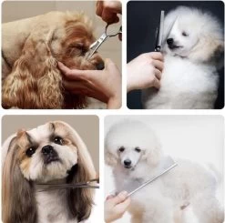 VoordeelShop 7-Delige Huisdier Knipset Met Etui - Trimmen Hond - Honden Schaar - Effileerschaar Hond - Huisdier Trimmer - Huisdier Knippen - Knipschaar Haar - Haar Schaar - Kapper - Kapperset - Scharenset -Pet Care Verkoop 1200x1190 5