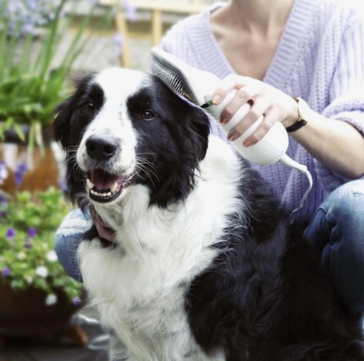 Merkloos HondenFöhn En Borstel - RVS Borstel - Huisdieren - 2 In 1 Hondenföhn 5 Merkloos HondenFöhn En Borstel - RVS Borstel - Huisdieren - 2 In 1 Hondenföhn - Afbeelding 5