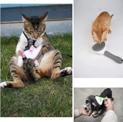 Igoods Kattenborstel - Kattenhaar Verwijderaar - Ontpluizer - Grijs -Pet Care Verkoop 1200x1191 1