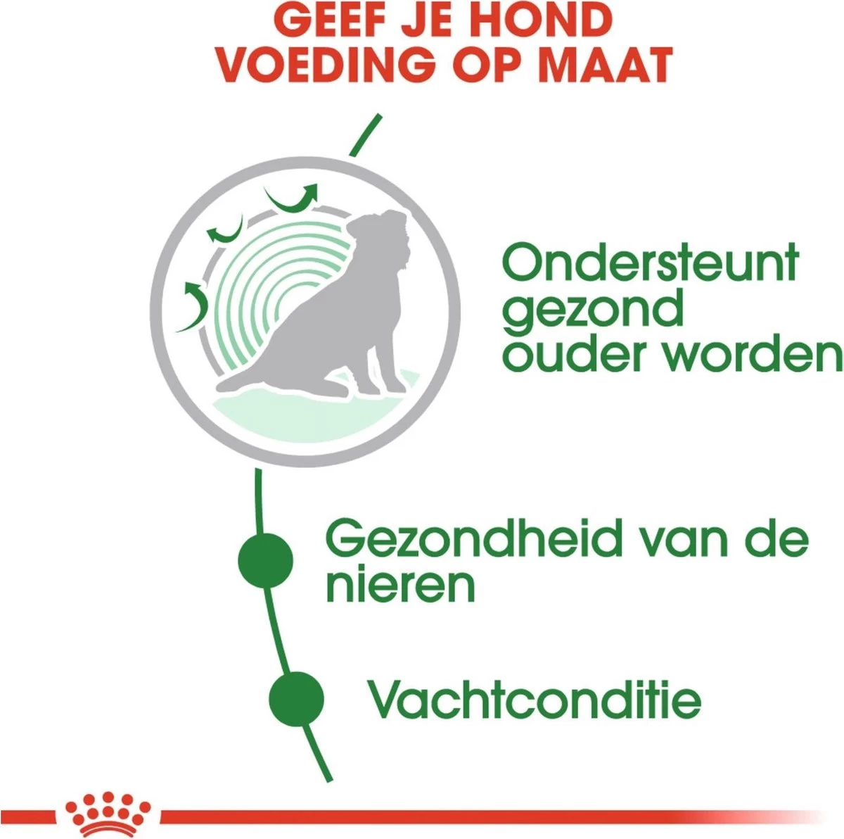 Royal Canin Shn Mini Ageing 12plus Pouch - Hondenvoer - 12x85 G 2 Royal Canin Shn Mini Ageing 12plus Pouch - Hondenvoer - 12x85 G - Afbeelding 2