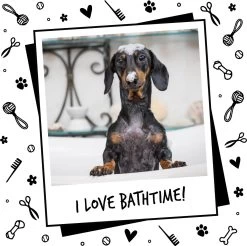 Bugalugs - Hondenshampoo - One In A Million - Alle Vachttypes - Fles Met Pompje - Vegan - 500 Ml -Pet Care Verkoop 1200x1196 8