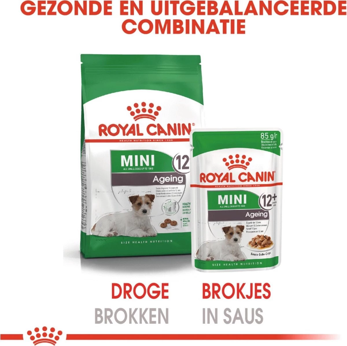 Royal Canin Shn Mini Ageing 12plus Pouch - Hondenvoer - 12x85 G 4 Royal Canin Shn Mini Ageing 12plus Pouch - Hondenvoer - 12x85 G - Afbeelding 4