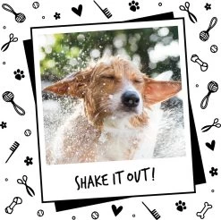 Bugalugs - Hondenshampoo - One In A Million - Alle Vachttypes - Fles Met Pompje - Vegan - 500 Ml -Pet Care Verkoop 1200x1197 5