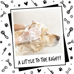 Bugalugs - Hondenshampoo - One In A Million - Alle Vachttypes - Fles Met Pompje - Vegan - 500 Ml -Pet Care Verkoop 1200x1197 7