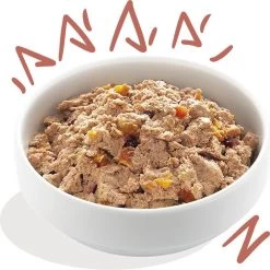 11x Edgard & Cooper Kuipje Vers Vlees Senior Hondenvoer Kip - Zalm 150 Gr -Pet Care Verkoop 1200x1198 19