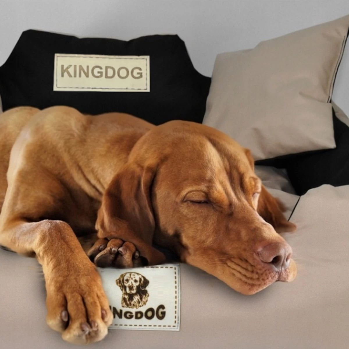 KingDog - Groot Honden- En Kattenbed 75 X 65 | Donkergrijs - Maat M 4 KingDog - Groot Honden- En Kattenbed 75 X 65 | Donkergrijs - Maat M - Afbeelding 4