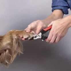 Merkloos Professionele Nagelschaar - Dieren Nagelschaar - Rood & Zwart - Honden Nagelknipper - Hondennagels - Honden Knip Schaar - Honden Knipsch 11 Merkloos Professionele Nagelschaar - Dieren Nagelschaar - Rood & Zwart - Honden Nagelknipper - Hondennagels - Honden Knip Schaar - Honden Knipsch -Pet Care Verkoop 1200x1198