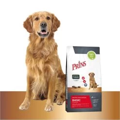 Prins Protection Croque Basic Excellent - Hondenvoer - 10 Kg 10 Prins Protection Croque Basic Excellent - Hondenvoer - 10 Kg -Pet Care Verkoop 1200x1199 12