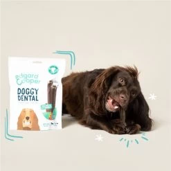 Edgard & Cooper Doggy Dental Sticks Appel - Eucalyptusolie Medium -Pet Care Verkoop 1200x1199 16