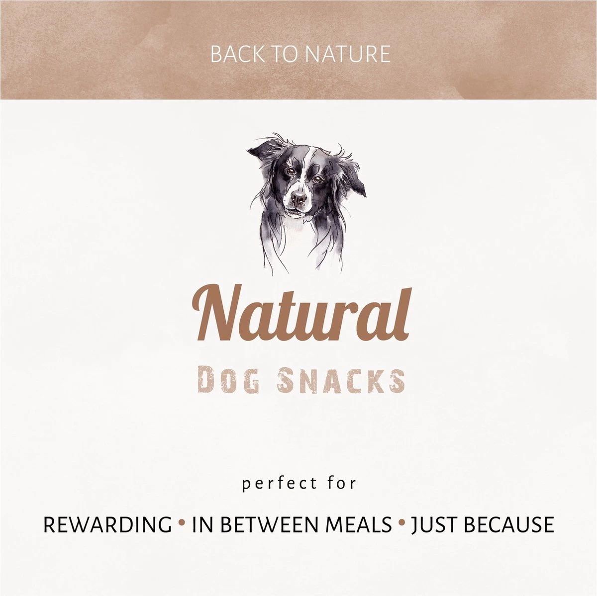 Antos Kippenpoten Gedroogd Kip 1 Kg 5 Antos Kippenpoten Gedroogd Kip 1 Kg - Afbeelding 5