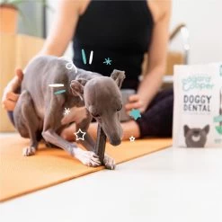 Merkloos Edgard & Cooper Doggy Dental Sticks Aardbei - Frisse Muntolie Small -Pet Care Verkoop 1200x1199 25