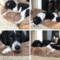 Snoozle Donut Hondenmand - Zacht En Luxe Hondenkussen - Wasbaar - Fluffy - Hondenmanden - 80cm - Creme Bruin -Pet Care Verkoop 1200x1200 1001