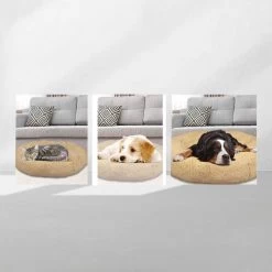 Peaceful Pooch S - Pluizig Hondenbed - 58cm Diameter - Opvouwbaar - In Verschillende Maten. Kattenbed - Wasbaar - Uitneembare Vulling - Ontspant Gewrichten En Spieren - Anti-slip Noppenbodem -Pet Care Verkoop 1200x1200 1027