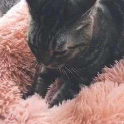 Snoozle Donut Hondenmand - Zacht En Luxe Hondenkussen - Wasbaar - Fluffy - Hondenmanden - 50cm - Grijs -Pet Care Verkoop 1200x1200 1079