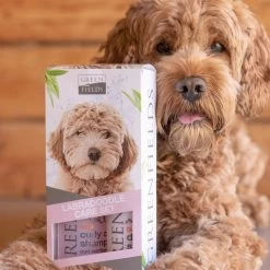 Greenfields Labradoodle Vacht Verzorgingsset - Shampoo En Anti-Klit Spray Voor Langharige Of Krullende Vacht -Pet Care Verkoop 1200x1200 113