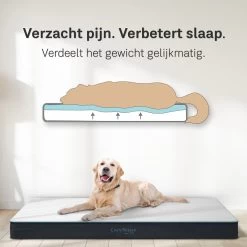 CozySense® - Orthopedisch Hondenkussen - Hondenkussen 75 X 45 Cm - Ook Geschikt Als Benchkussen & Hondenbed - Hondenkussen Bank - Traagschuim - Waterdicht - Wasbare Hoes - Maat M 10 CozySense® - Orthopedisch Hondenkussen - Hondenkussen 75 X 45 Cm - Ook Geschikt Als Benchkussen & Hondenbed - Hondenkussen Bank - Traagschuim - Waterdicht - Wasbare Hoes - Maat M -Pet Care Verkoop 1200x1200 1136