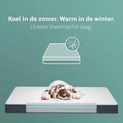 CozySense® - Orthopedisch Hondenkussen - Hondenkussen 75 X 45 Cm - Ook Geschikt Als Benchkussen & Hondenbed - Hondenkussen Bank - Traagschuim - Waterdicht - Wasbare Hoes - Maat M 11 CozySense® - Orthopedisch Hondenkussen - Hondenkussen 75 X 45 Cm - Ook Geschikt Als Benchkussen & Hondenbed - Hondenkussen Bank - Traagschuim - Waterdicht - Wasbare Hoes - Maat M -Pet Care Verkoop 1200x1200 1137