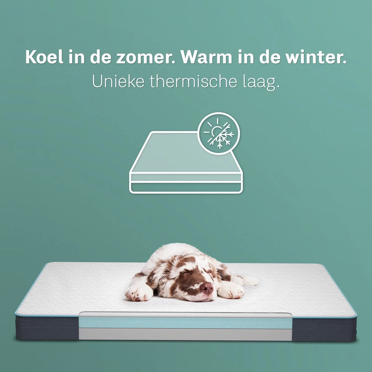 CozySense® - Orthopedisch Hondenkussen - Hondenkussen 75 X 45 Cm - Ook Geschikt Als Benchkussen & Hondenbed - Hondenkussen Bank - Traagschuim - Waterdicht - Wasbare Hoes - Maat M 4 CozySense® - Orthopedisch Hondenkussen - Hondenkussen 75 X 45 Cm - Ook Geschikt Als Benchkussen & Hondenbed - Hondenkussen Bank - Traagschuim - Waterdicht - Wasbare Hoes - Maat M - Afbeelding 4