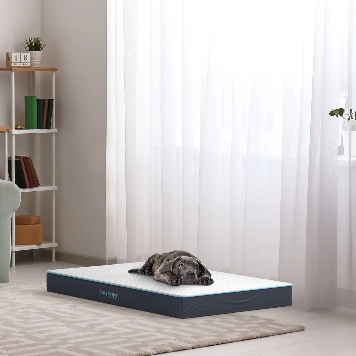 CozySense® - Orthopedisch Hondenkussen - Hondenkussen 75 X 45 Cm - Ook Geschikt Als Benchkussen & Hondenbed - Hondenkussen Bank - Traagschuim - Waterdicht - Wasbare Hoes - Maat M 6 CozySense® - Orthopedisch Hondenkussen - Hondenkussen 75 X 45 Cm - Ook Geschikt Als Benchkussen & Hondenbed - Hondenkussen Bank - Traagschuim - Waterdicht - Wasbare Hoes - Maat M - Afbeelding 6