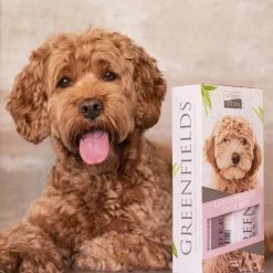 Greenfields Labradoodle Vacht Verzorgingsset - Shampoo En Anti-Klit Spray Voor Langharige Of Krullende Vacht -Pet Care Verkoop 1200x1200 114