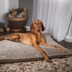 Scruffs Chateau - Hondenbed Orthopedisch Met Memory Foam Voor Extra Steun Voor Rug En Gewrichten - Grijs & Bruin Maat M/L - Kleur: Grijs, Maat: Medium -Pet Care Verkoop 1200x1200 1146