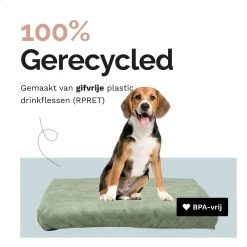 Rexproduct Hondenkussen - Hondenmand - Hondenbed Met Rits En Wasbaar - Manden & Kussens 90 X 110 CM - 0 Tot 80 Kg - SoftPet Groen 21 Rexproduct Hondenkussen - Hondenmand - Hondenbed Met Rits En Wasbaar - Manden & Kussens 90 X 110 CM - 0 Tot 80 Kg - SoftPet Groen -Pet Care Verkoop 1200x1200 1158