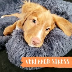 Origineel Hondendeken Voor Bank– Hondenkleed Fluffy – Pluche Hondenbed - Hondenmand Premium - Volledig Afritsbaar -Pet Care Verkoop 1200x1200 1168