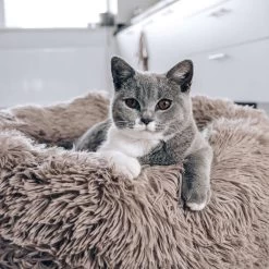 District 70 FUZZ - Hondenmand Comfortabel En Zacht Pluche - Zand, Oudroze, Donkergrijs En Lichtgrijs In S/M/L/XL - Maat: Large, Kleur: Zand 15 District 70 FUZZ - Hondenmand Comfortabel En Zacht Pluche - Zand, Oudroze, Donkergrijs En Lichtgrijs In S/M/L/XL - Maat: Large, Kleur: Zand -Pet Care Verkoop 1200x1200 1174