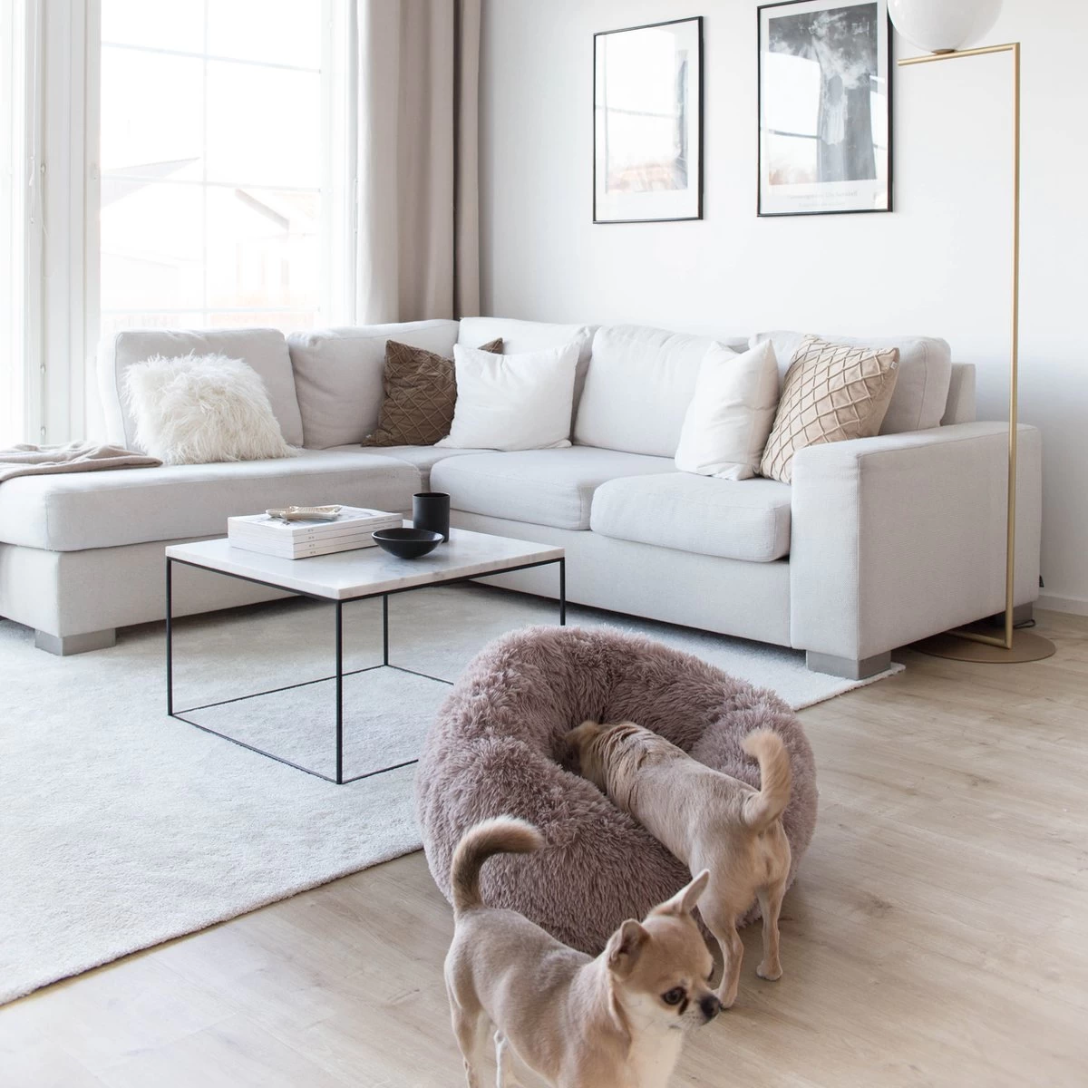 District 70 FUZZ - Hondenmand Comfortabel En Zacht Pluche - Zand, Oudroze, Donkergrijs En Lichtgrijs In S/M/L/XL - Maat: Large, Kleur: Zand 8 District 70 FUZZ - Hondenmand Comfortabel En Zacht Pluche - Zand, Oudroze, Donkergrijs En Lichtgrijs In S/M/L/XL - Maat: Large, Kleur: Zand - Afbeelding 8