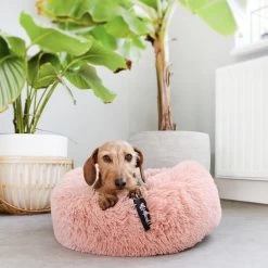 District 70 FUZZ - Hondenmand Comfortabel En Zacht Pluche - Zand, Oudroze, Donkergrijs En Lichtgrijs In S/M/L/XL - Maat: Medium, Kleur: Zand -Pet Care Verkoop 1200x1200 1177